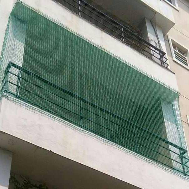 Pigeon Net Installation